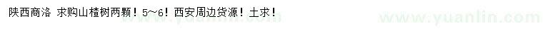 求購(gòu)5、6公分山楂樹