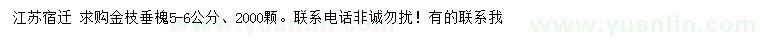 求購5、6公分金枝垂槐