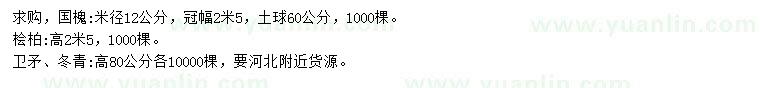 求購國槐、檜柏、衛(wèi)矛等