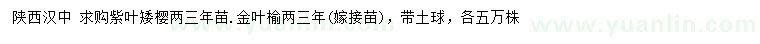 求購兩三年紫葉矮櫻、金葉榆