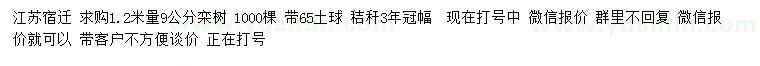 求購1.2米量9公分欒樹