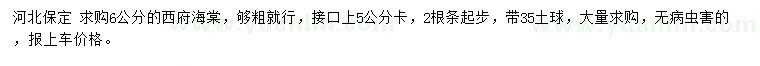 求購6公分西府海棠