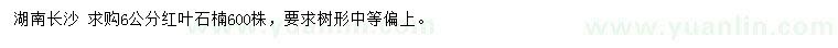 求購6公分紅葉石楠