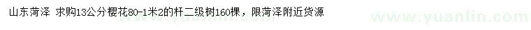 求購13公分櫻花