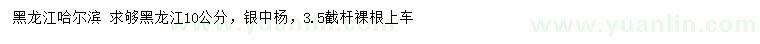 求購10公分銀中楊