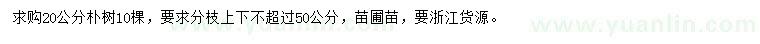 求購20公分樸樹