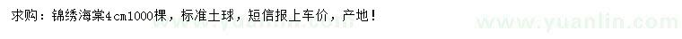 求購4公分錦繡海棠
