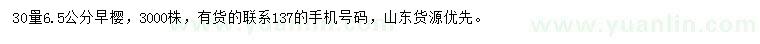 求購30量6.5公分早櫻