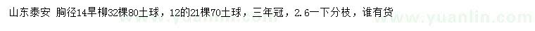 求購(gòu)胸徑12、14公分旱柳