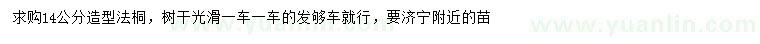 求購(gòu)14公分造型法桐