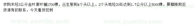 求購(gòu)米徑3公分金葉復(fù)葉槭、叢生紫荊