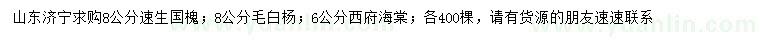 求購(gòu)速生國(guó)槐、毛白楊、西府海棠