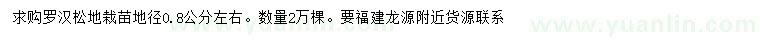 求購地徑0.8公分左右羅漢松地栽苗