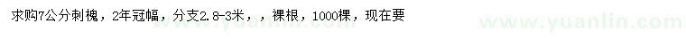 求購(gòu)7公分刺槐