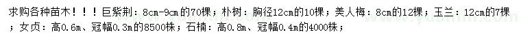 求購巨紫荊、樸樹、美人梅等