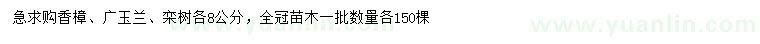 求購香樟、廣玉蘭、欒樹