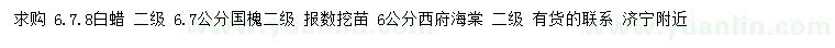 求購白蠟、國槐、西府海棠