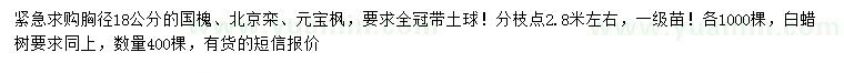 求購國槐、北京欒、元寶楓