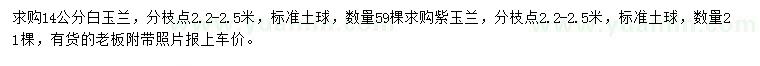 求購14公分白玉蘭、紫玉蘭