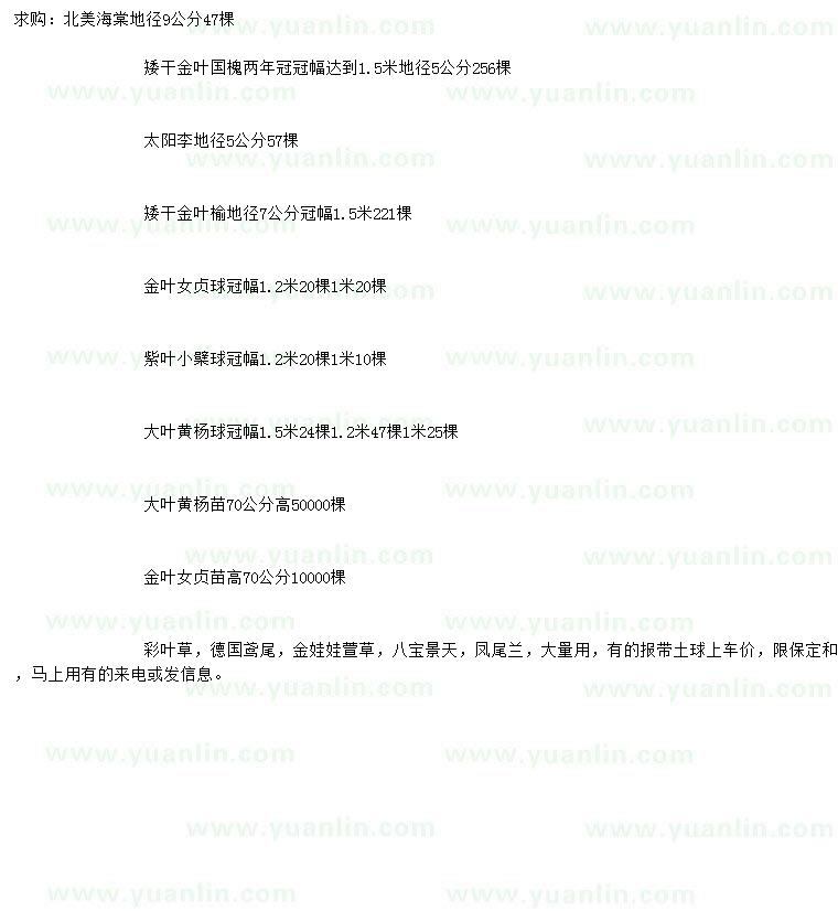 求購北美海棠、矮桿金葉國槐、太陽李等