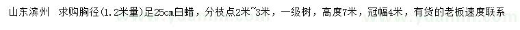 求購1.2米量胸徑足25公分白蠟