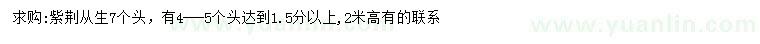 求購7個(gè)頭從生紫荊