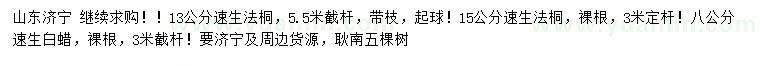 求購13公分速生法桐、8公分速生白蠟