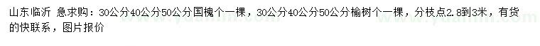 求購30、40、50公分國槐、榆樹