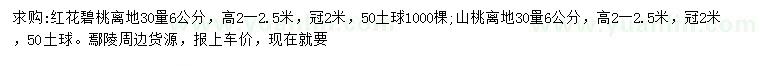 求購離地30量6公分紅花碧桃、山桃