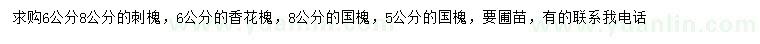 求購刺槐、香花槐、國槐