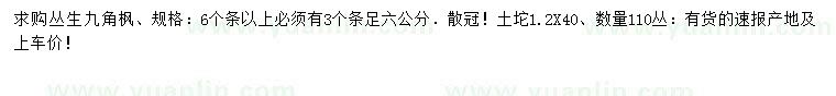 求購(gòu)叢生九角楓