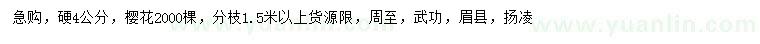 求購硬4公分櫻花