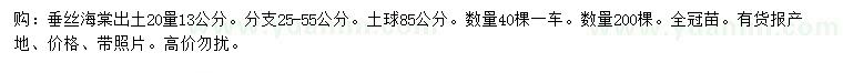 求購出土20量13公分垂絲海棠