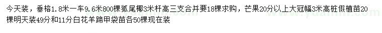 求購垂榕、狐尾椰、芒果等