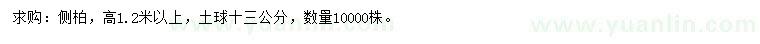 求購(gòu)高1.2米以上側(cè)柏