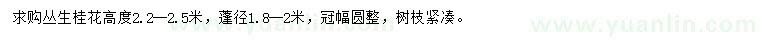 求購蓬徑1.8-2米叢生桂花