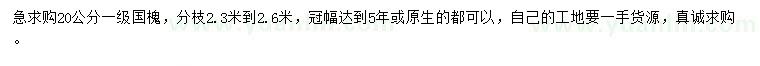 求購20公分國槐