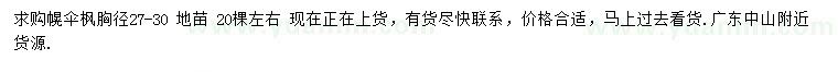 求購胸徑27-30公分幌傘楓