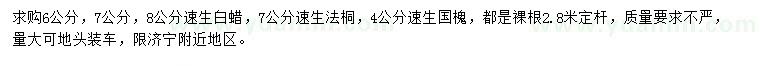 求購速生白蠟、速生法桐、速生國槐