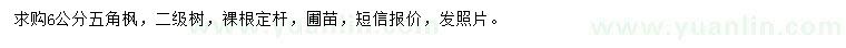 求購6公分五角楓