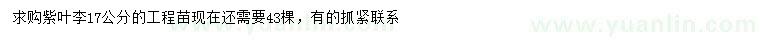 求購17公分紫葉李