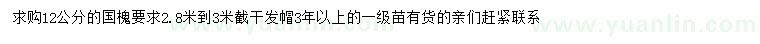 求購12公分國槐