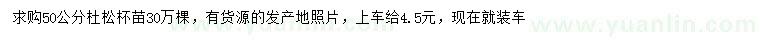 求購50公分杜松