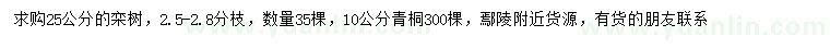 求購25公分欒樹、10公分青桐