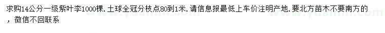 求購14公分紫葉李