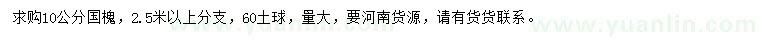 求購10公分國槐