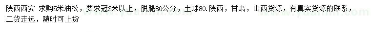 求購5米油松