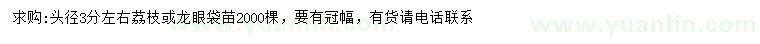 求購頭徑3公分左右荔枝、龍眼袋苗
