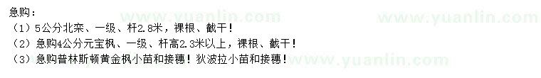 求購北欒、元寶楓、黃金楓等