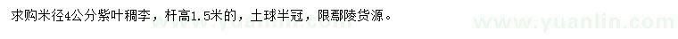 求購米徑4公分紫葉稠李
